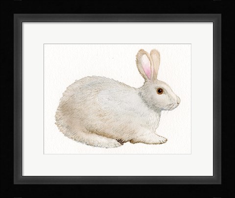 Framed Spring Bunny IV White Print