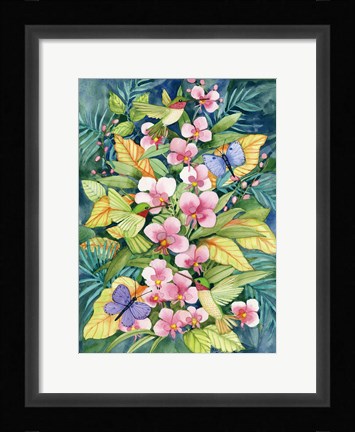 Framed Orchids and Hummingbirds Print