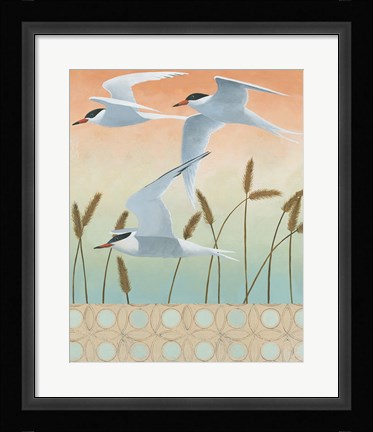 Framed Free as a Bird II v2 Border Print