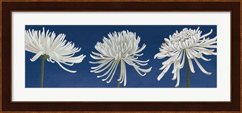 Framed Morning Chrysanthemums V Indigo Print