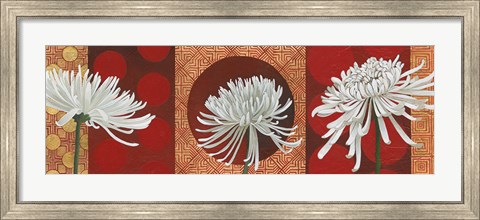 Framed Morning Chrysanthemums V Print