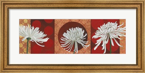 Framed Morning Chrysanthemums V Print