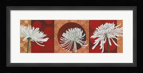 Framed Morning Chrysanthemums V Print