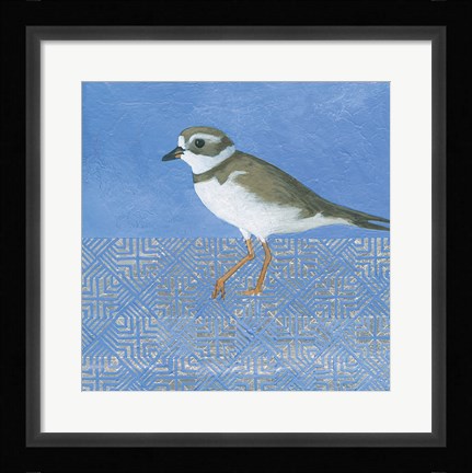 Framed Plover Print