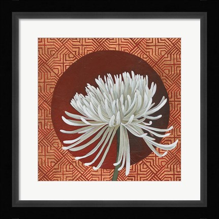 Framed Morning Chrysanthemum III Print