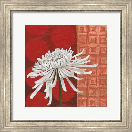 Framed Morning Chrysanthemum II Print