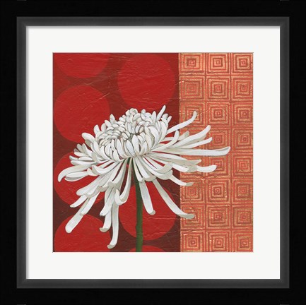 Framed Morning Chrysanthemum II Print
