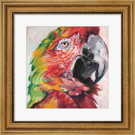 Framed Parrot I Print