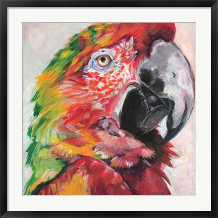 Framed Parrot I Print