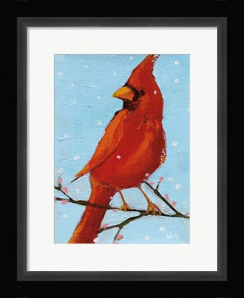 Framed Cardinal II Print