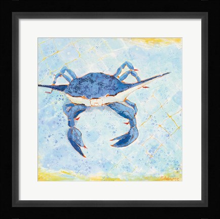 Framed Blue Crab VI Print