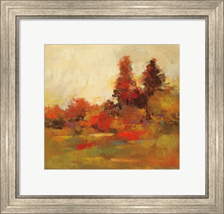 Framed Fall Forest IV Print
