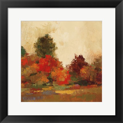 Framed Fall Forest III Print