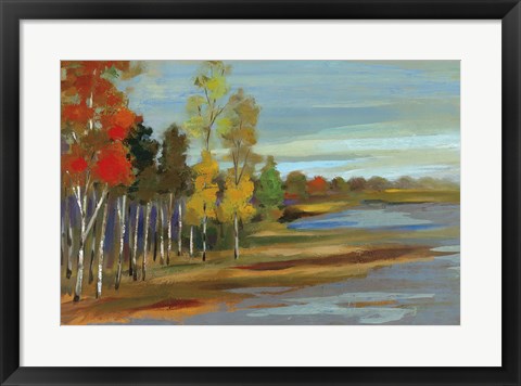 Framed Young Aspens Print