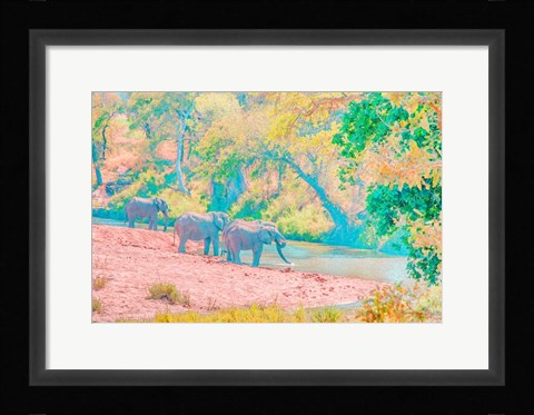 Framed Waterhole Rendezvous I Print