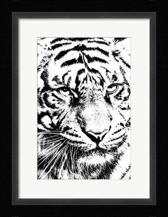 Framed Kitty Kitty Print