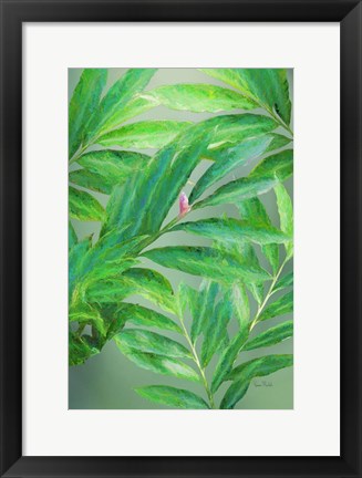 Framed Tropical Leaves IV Print