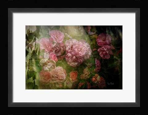 Framed Evening Light on Roses I Print