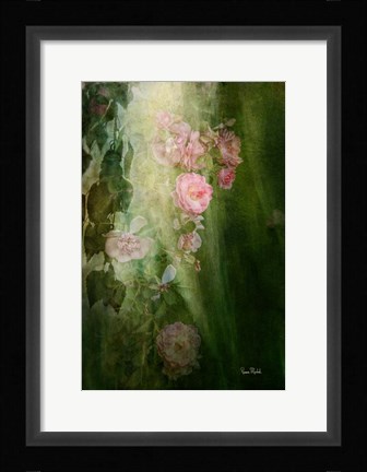 Framed Evening Light on Roses II Print