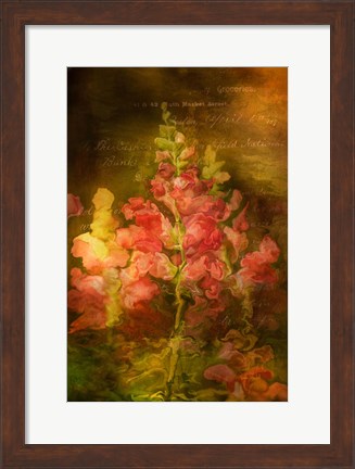 Framed Snapdragon Twilight I Print