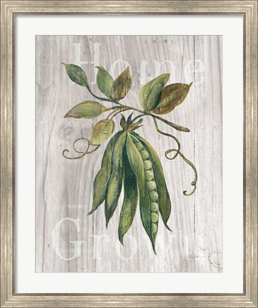 Framed Market Vegetables II on Wood Print