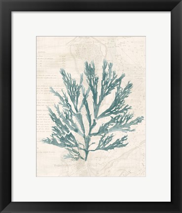 Framed Pacific Sea Mosses I Borderless Print