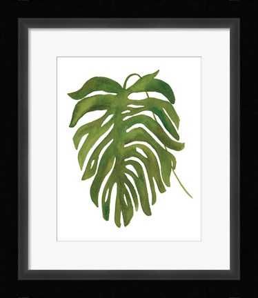 Framed Tropical Palm II Print