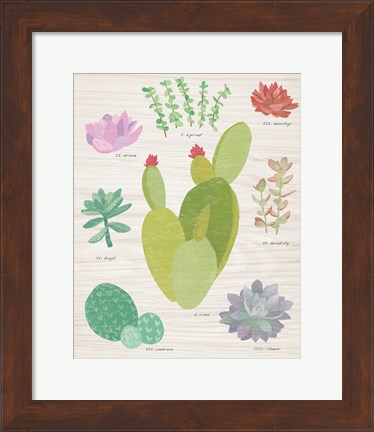 Framed Succulent Chart III on Wood Print