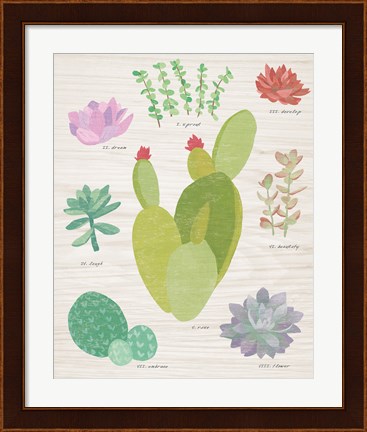 Framed Succulent Chart III on Wood Print