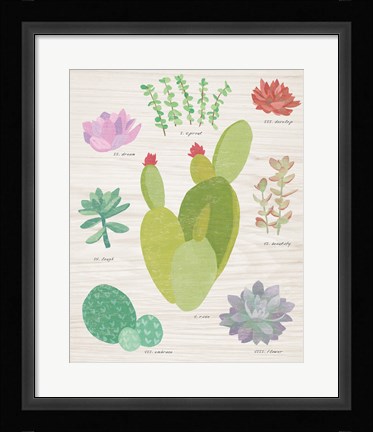Framed Succulent Chart III on Wood Print