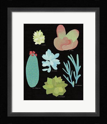 Framed Succulent Chart II Print