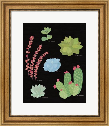 Framed Succulent Chart IV Print
