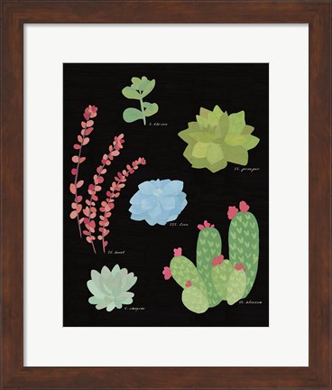 Framed Succulent Chart IV Print