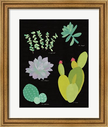 Framed Succulent Chart III Print