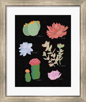 Framed Succulent Chart V Print