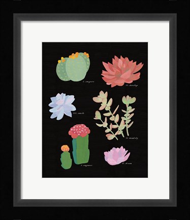 Framed Succulent Chart V Print