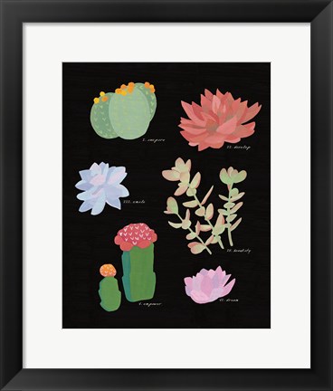 Framed Succulent Chart V Print