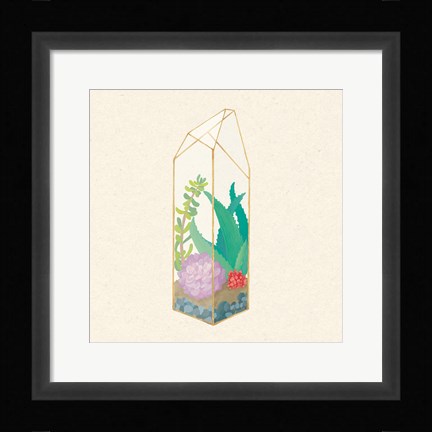 Framed Succulent Terrarium I Print