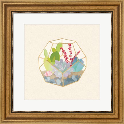 Framed Succulent Terrarium III Print