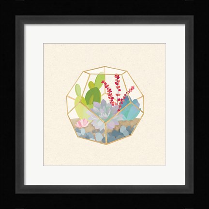 Framed Succulent Terrarium III Print