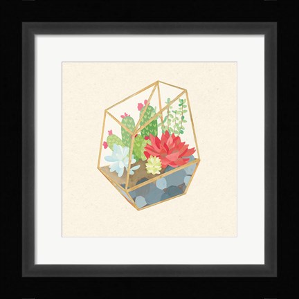 Framed Succulent Terrarium IV Print
