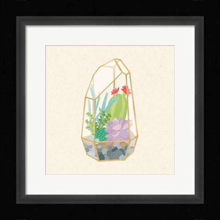 Framed Succulent Terrarium VI Print