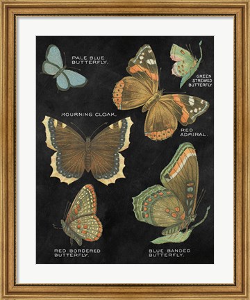 Framed Botanical Butterflies Postcard III Black Print