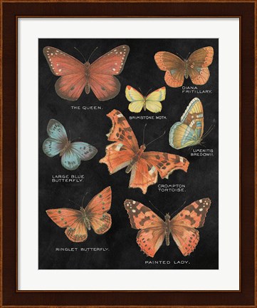 Framed Botanical Butterflies Postcard IV Black Print
