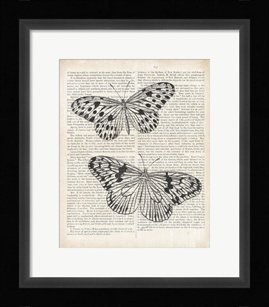 Framed Vintage Butterflies on Newsprint Print