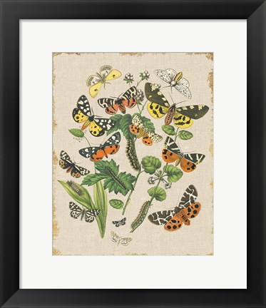 Framed Butterfly Bouquet IV Linen Print