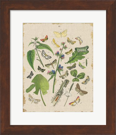 Framed Butterfly Bouquet III Linen Print