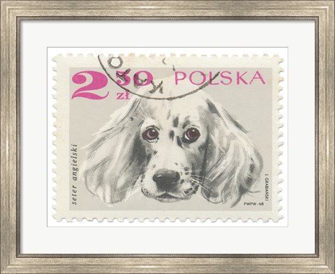 Framed Poland Stamp IV on White Print