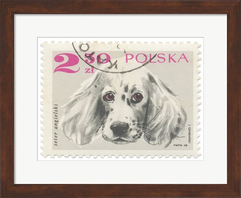 Framed Poland Stamp IV on White Print