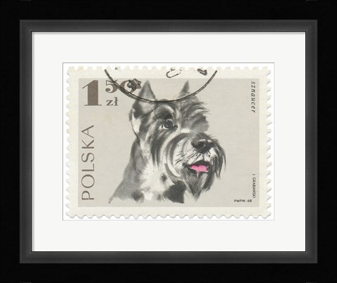 Framed Poland Stamp I on White Print